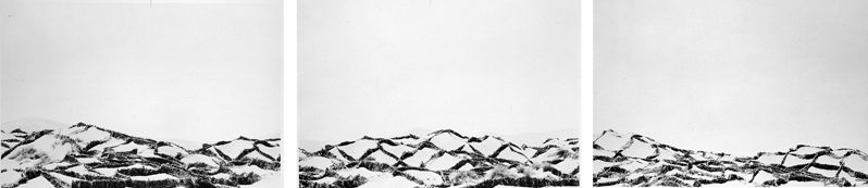 Desert Control, BW